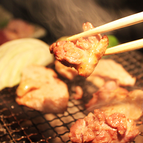 みやざき雉本舗　きじ肉商品