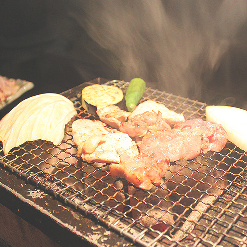 みやざき雉本舗　きじ肉商品